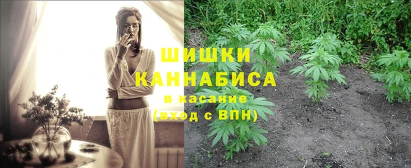MDMA Заводоуковск