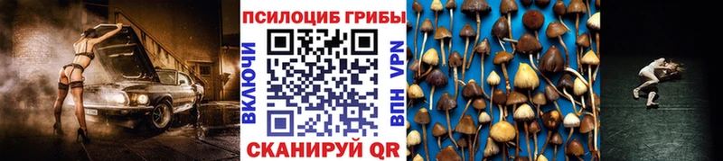 Галлюциногенные грибы Psilocybine cubensis Черепаново