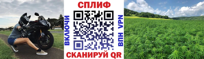сколько стоит  Черепаново  Шишки марихуана индика 